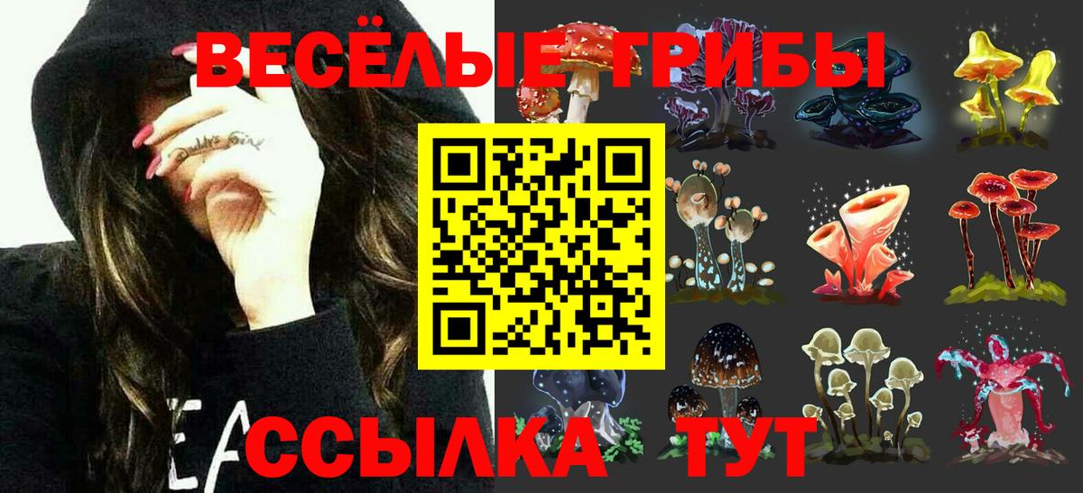 Псилоцибиновые грибы ЛСД Сафоново